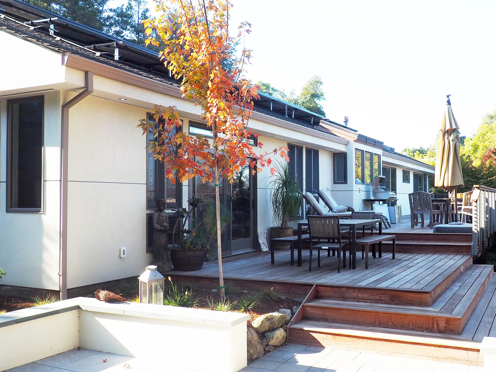After: Backyard