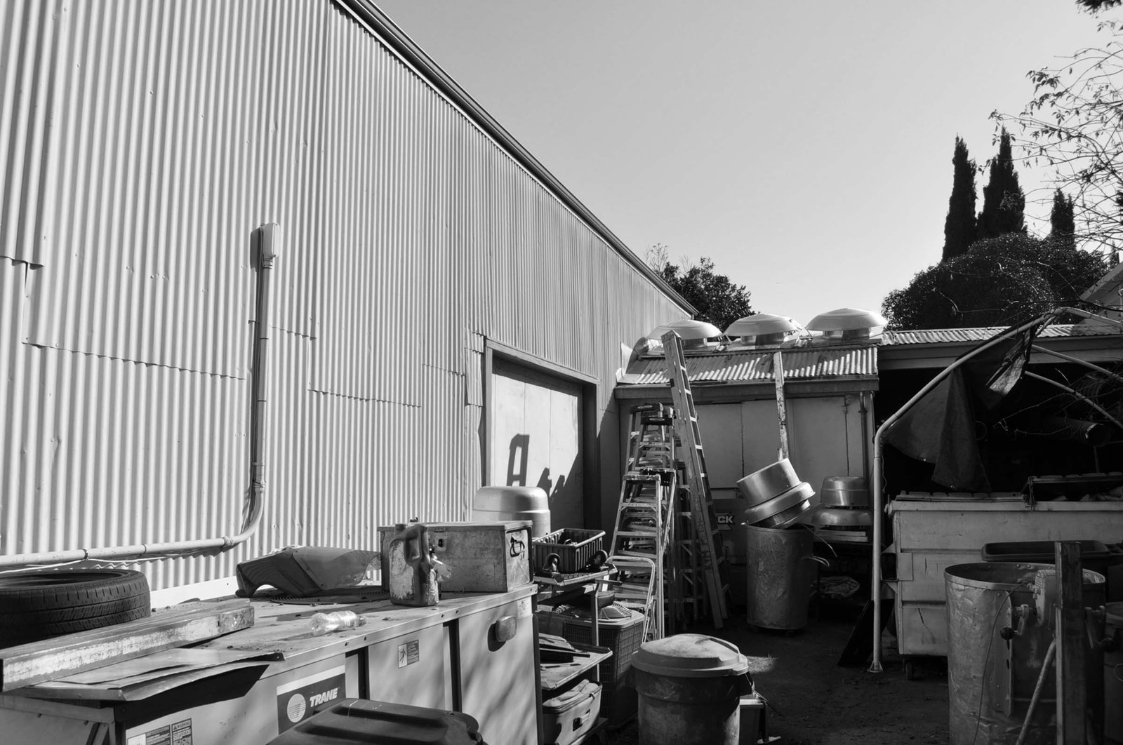 Before: Backyard